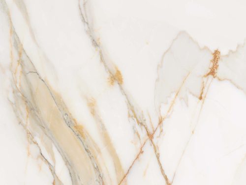 Dlažba EXCELSIS WHITE 60X60R
